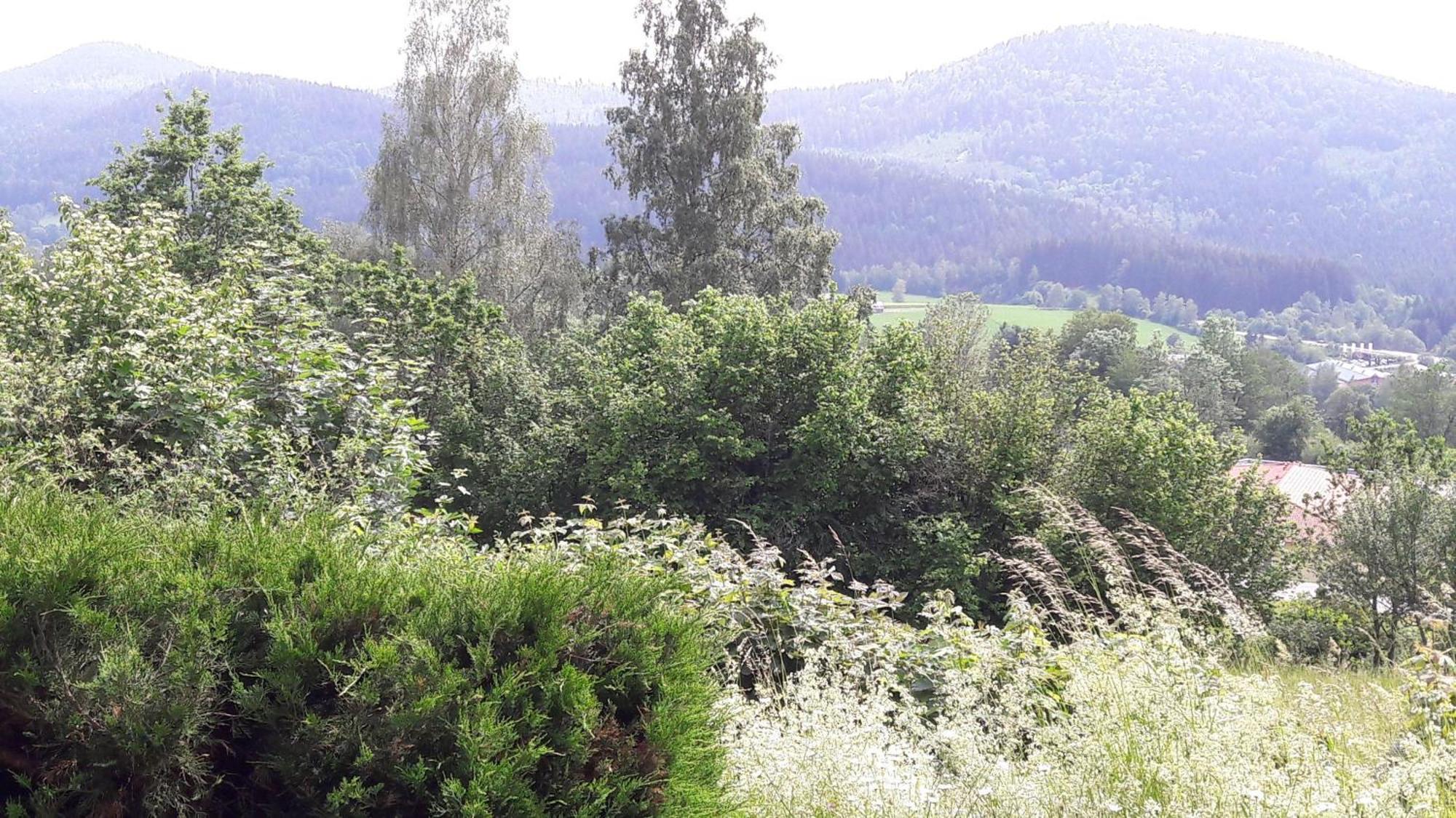 Fewo-Harlachberg-Blick-1 Bodenmais Esterno foto